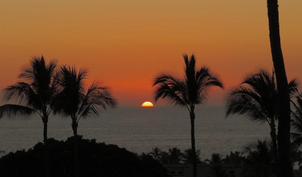 Conference Template Banner